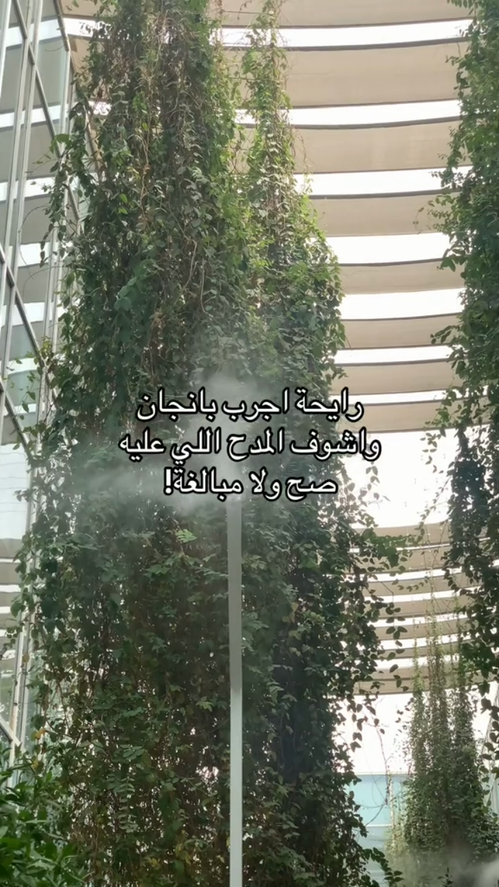 فيديو من إنتاج Reufe Beauty🧚🏻♀️
