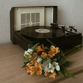 rijo | صانعة محتوى